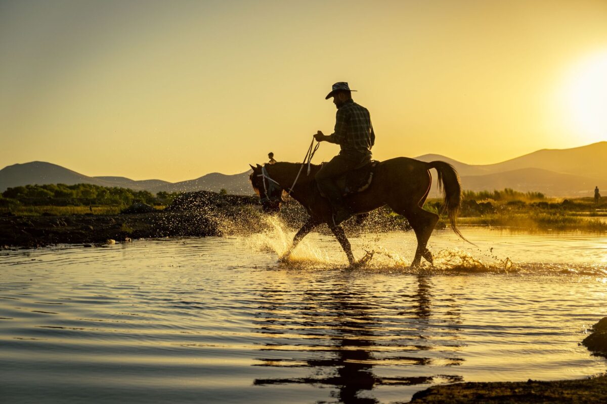 red dead redemption date avant implique